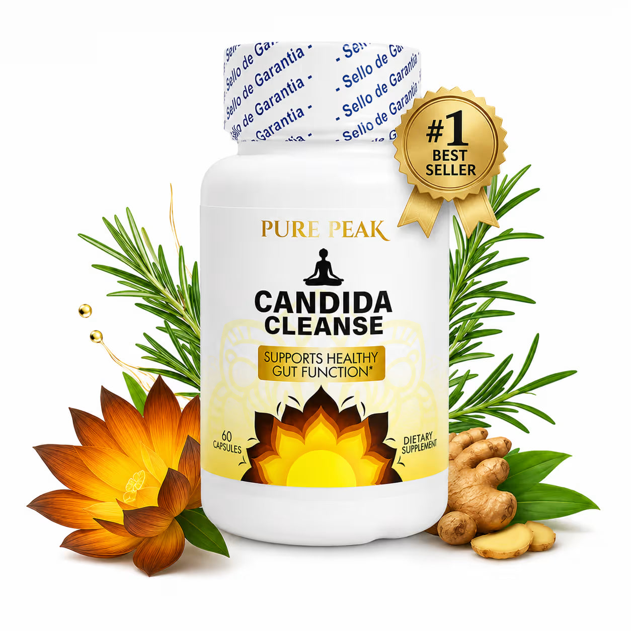 CANDIDA CLEANSE