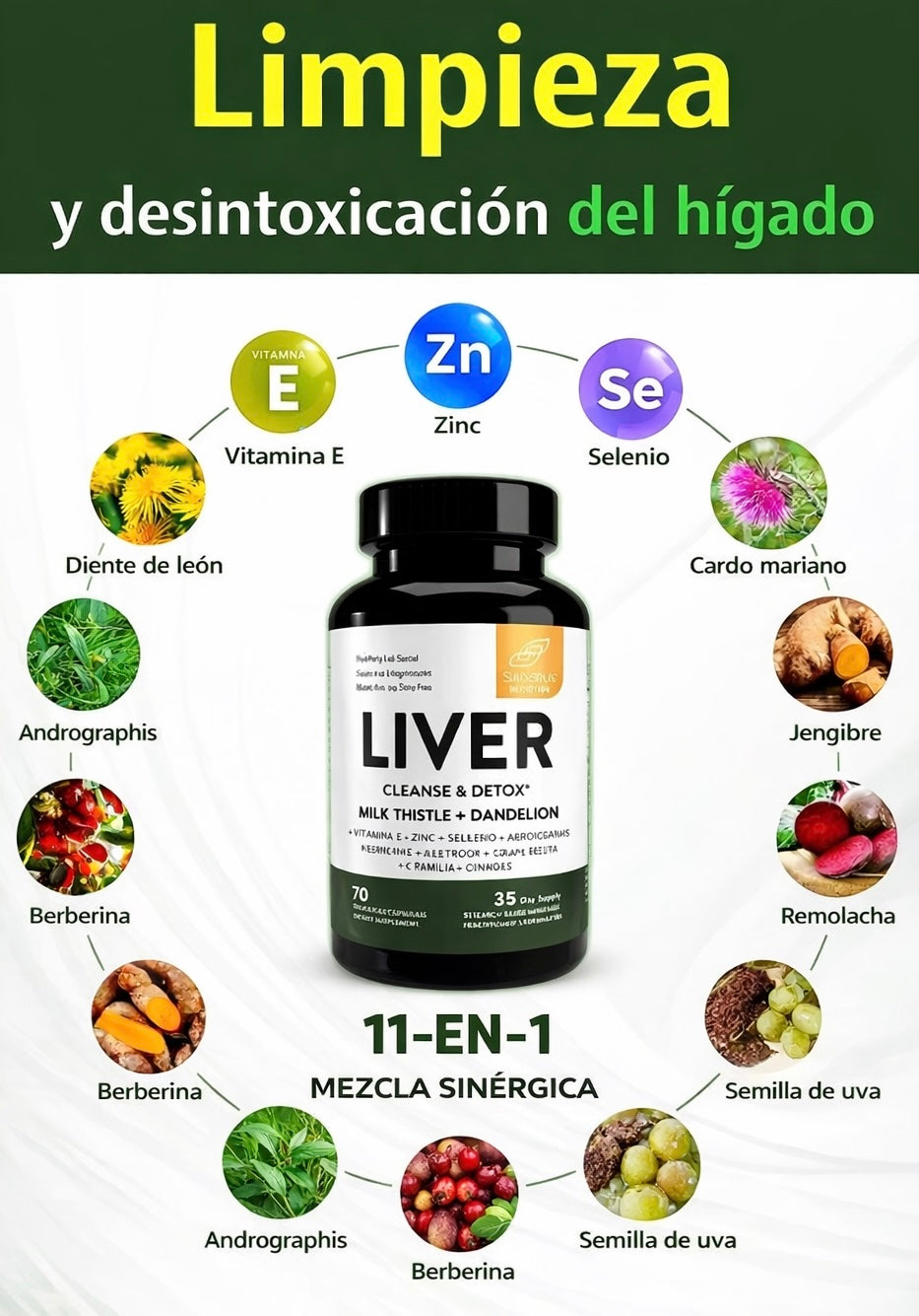 LIVER